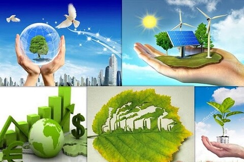 Hoàn thiện dự thảo sửa đổi Nghị định số 8/2022/NĐ-CP quy định chi tiết một số điều của Luật Bảo vệ môi trường